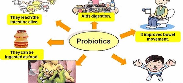 PROBIOTICS: FRIENDLY MICROBES FOR HEALTHY BODY