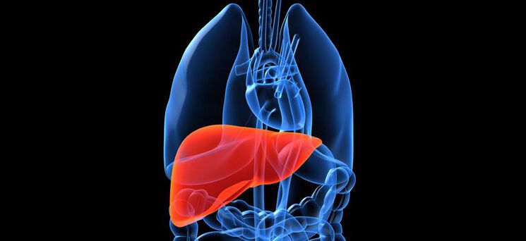 LIVER CARE